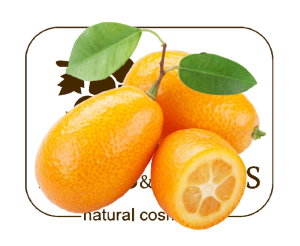 kumquat and fnf ONLY